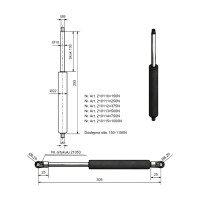 Gasfeder 10/22, 750 N, 255 mm, 100 mm Hub, M8/M8