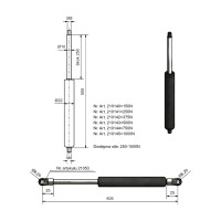 Gasfeder 10/22, 555 mm
